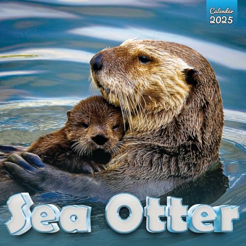 Sea otter Calendar 2025: A Year of Playfulness and Oceanic Charm