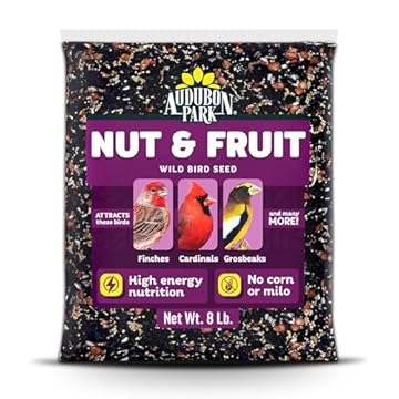 best dried fruit for wild birds that will attract every feathered friend 2 best dried fruit for wild birds