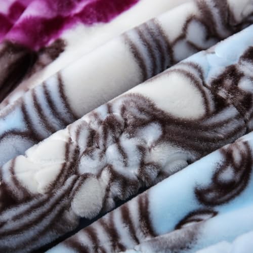 Image of JYK Korean Mink Fleece Blanket King Size 83'' x 91'', 5.7 Pounds - 2 Ply Reversible Silky Soft Plush Warm, Comfy Bed Blanket, Luxurious Blanket for All Seasons - Blue /Purple Peony