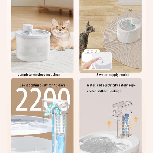 Fuente de Agua Automática para Gatos Fabater 2.5L miniatura 4