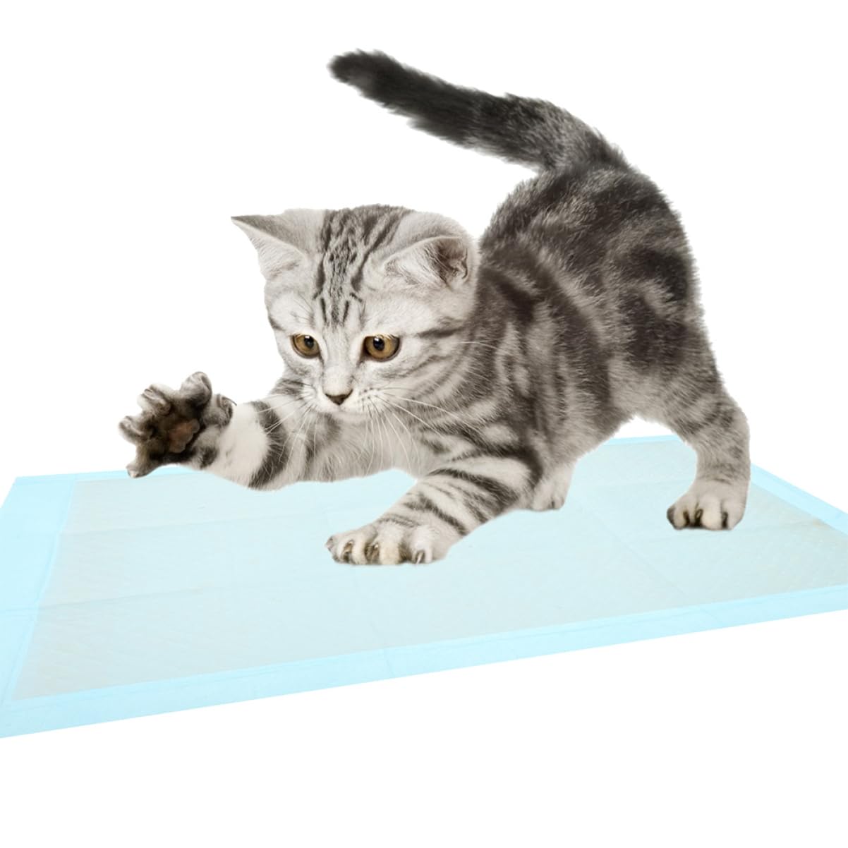 Happyyami 100pezzi Tappetini Assorbenti Per Cani e Gatti Di Traversine Impermeabili Per Addestramento Ultra Assorbenti e Facili Da Usare Perfetti Per Ambienti Domestici