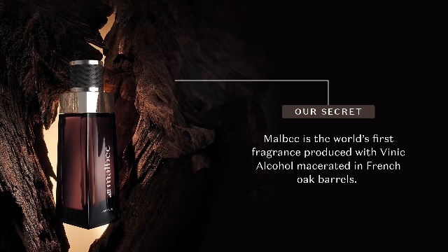 MALBEC PERFUME FOR MEN By O BOTICARIO 100 ML 3.4 OZ : Amazon.ca