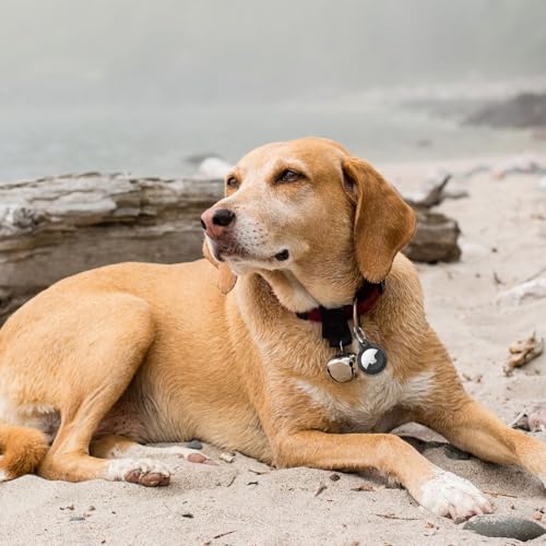 Wanme Hülle für Apple AirTag Schlüsselanhänger, Tragbar Keyring Abdeckung, Schutzhülle für AirTag Case Tracker (Schwarz) – Bild 6