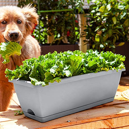 Fodder System Pot Planting Flower Balcony Vegetable Plastic Trough Vegetable Pot Patio & Garden Tomatoes Plants Live #TOP6