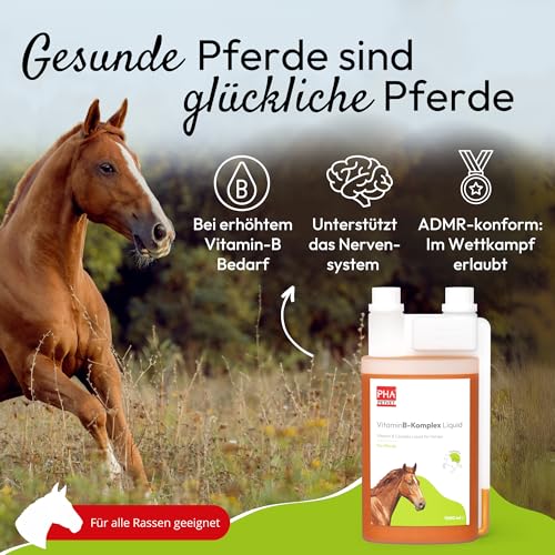 PHA Vitamin B Komplex Liquid für Pferde, gegen Stress, für Nerven, Haut, Fell, Hufe, bei B-Vitamine Mangel, zur Unterstützung der Regeneration, 1L