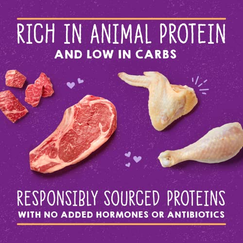 Stella & Chewy's Carnivore Cravings Savory Shreds - Wet Cat Food - High-Moisture Formula with Premium Cage-Free Chicken & Grass-Fed Beef - Perfect for Picky Eaters - 5.2 oz, 8 Count - image 4
