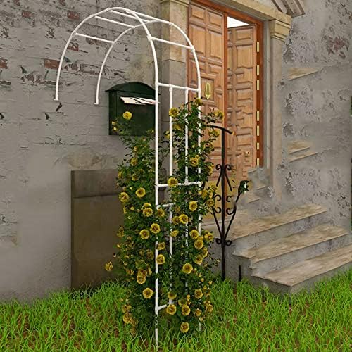 Metal Garden Arch - Elegant Rose Arbor for Outdoor Decor, Ideal for Climbing Plants & Vines Support, Enhances Garden Aesthetics, 240x240CM, Durable & Stylish
