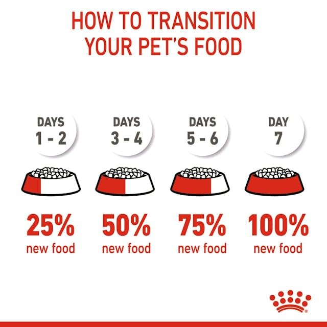 Royal Canin Kitten Sterilised | Pack Double | 2 x 400 g | Aliment Complet pour Chats | Spécialement conçu pour Les Chats castrés en Pleine Croissance, de 6 à 12 Mois