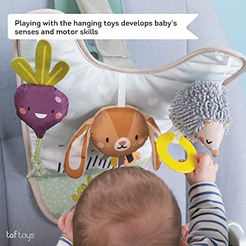 Taf Toys - Urban Garden in-Car Play Centre Parent and Baby's Travel Companion, Keeps Both Relaxed While Driving. Car Activity Centre with Mirror to Watch Baby from Driver's Seat, from Birth