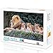 Puzzles pour Adultes Puzzle 1000 pièces Animal Lion d'Afrique Puzzles Classiques 1000 Pièces Casse-tête à thème Bricolage Puzzle Jouets Cadeau 52x38cm