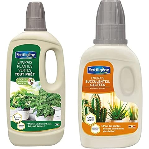 Fertiligène Engrais Plantes Vertes et Cactées Cover
