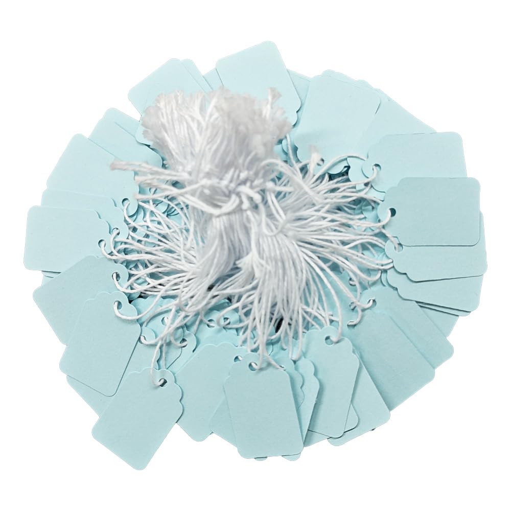Acoeitl 300 Pcs 1.38x0.87 in Light Blue Blank Jewelry Price Tags with String Attached Retail Paper Gift and Sale Hang Tag Handwritten Price Display