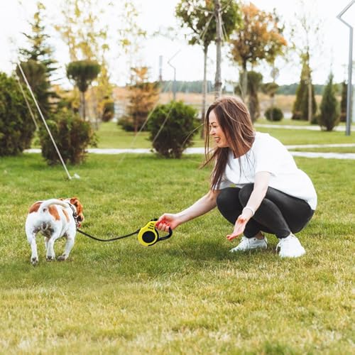 Ghazpmuk Rollleine, Hundeleine Hunde Leine Hund 5m, Ausziehleine Hund, Flexleine Verstellbar, Automatische Ausziehbare Leine Ziehen, Dog Leash Retractable für Hunde Bis 15 Kg Neongelb
