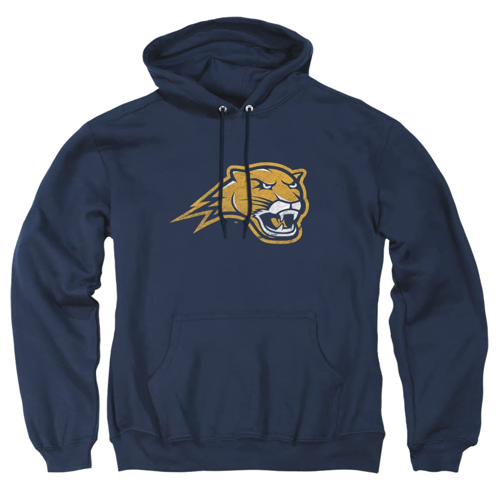 LOGOVISION Official Collegiate Distressed Primary Logo Adult Pullover Hoodie Collection — view 131