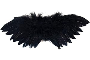 Black Angle Wings: Celestial Photography Props for Enduring Memories