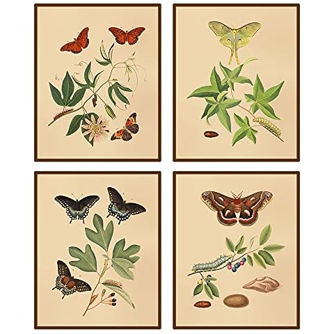 heshengzaixian Vintage Butterfly Botanical Wall Art Canvas Print, Plant Butterflies Decor Poster Painting for Home Office School, Set of 4-8x10 Unframed Cover