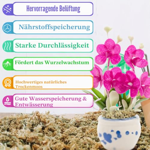 Legigo 500g Premium Sphagnum Moos - ergibt 25L Spagnummoos für Pflanzen – Ansicht 3