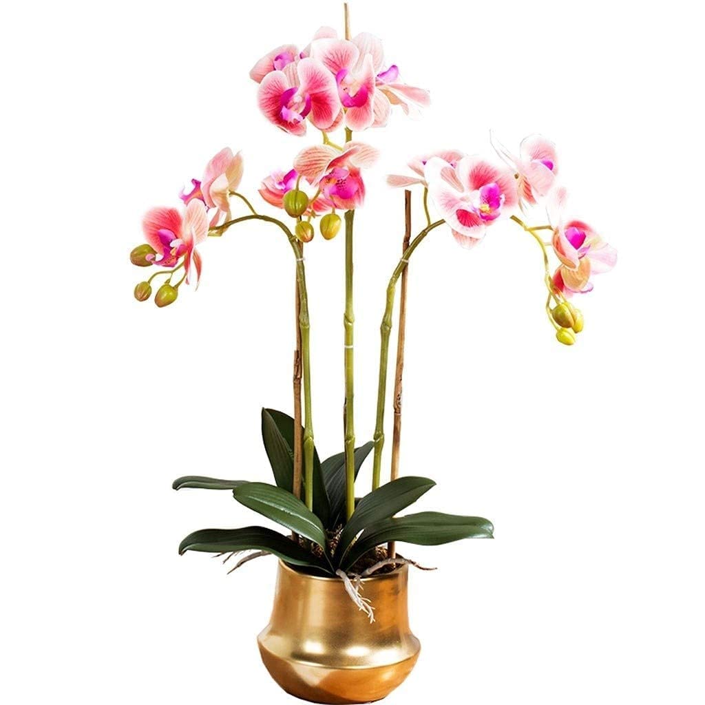 XDLEDMKIZ Phalaenopsis Artificial Flower with Glass Vase Decorative Silk Flower Arrangement Simulation Bonsai Fake Flower Planting Floral Set for Home Useor : A Interesti