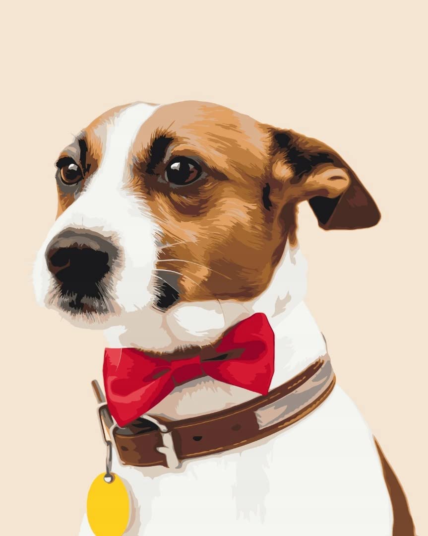 Peinture par numéros Chiot Champion 40x50 cm kit complet