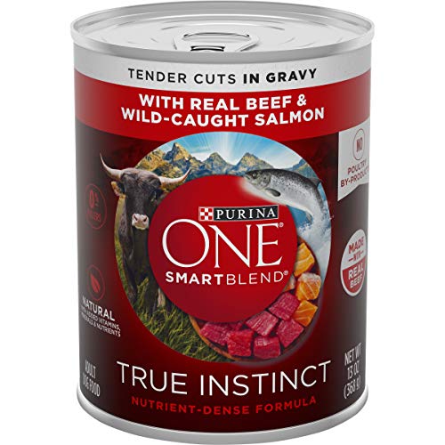 Purina ONE Natural Gravy Wet Dog Food, SmartBlend True Instinct Tender Cuts With