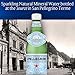 S.Pellegrino Sparkling Natural Mineral Water, Plastic Bottles, 16.9 Fl Oz (Pack of 12)