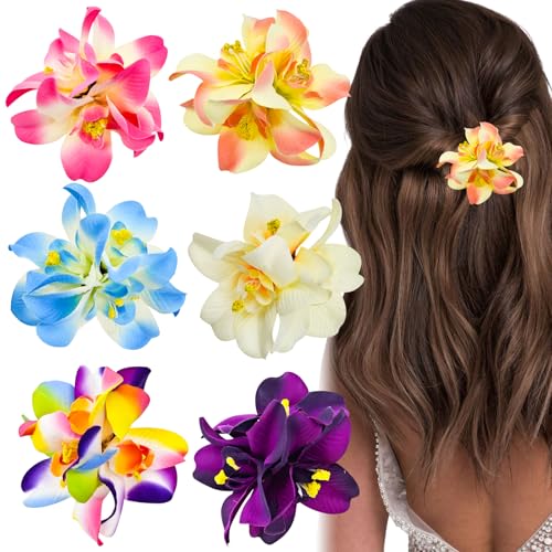 nCAt[wANbvlHgsJwAANZT[nCrXJX܃Nbv6 fB[X K[Y oP[V r[` p[eB[ {[z[Nbv