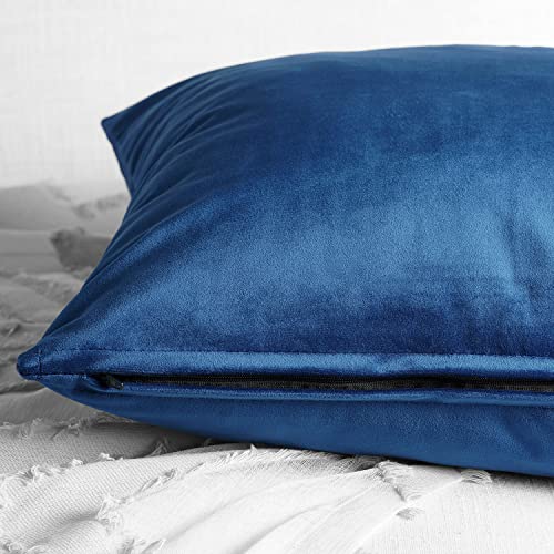 Image of HPD Half Price Drapes Cushion Cover 18 x 18 Heritage Plush Velvet - VPYC-198604-CC18PR - Pair, Pisces Blue