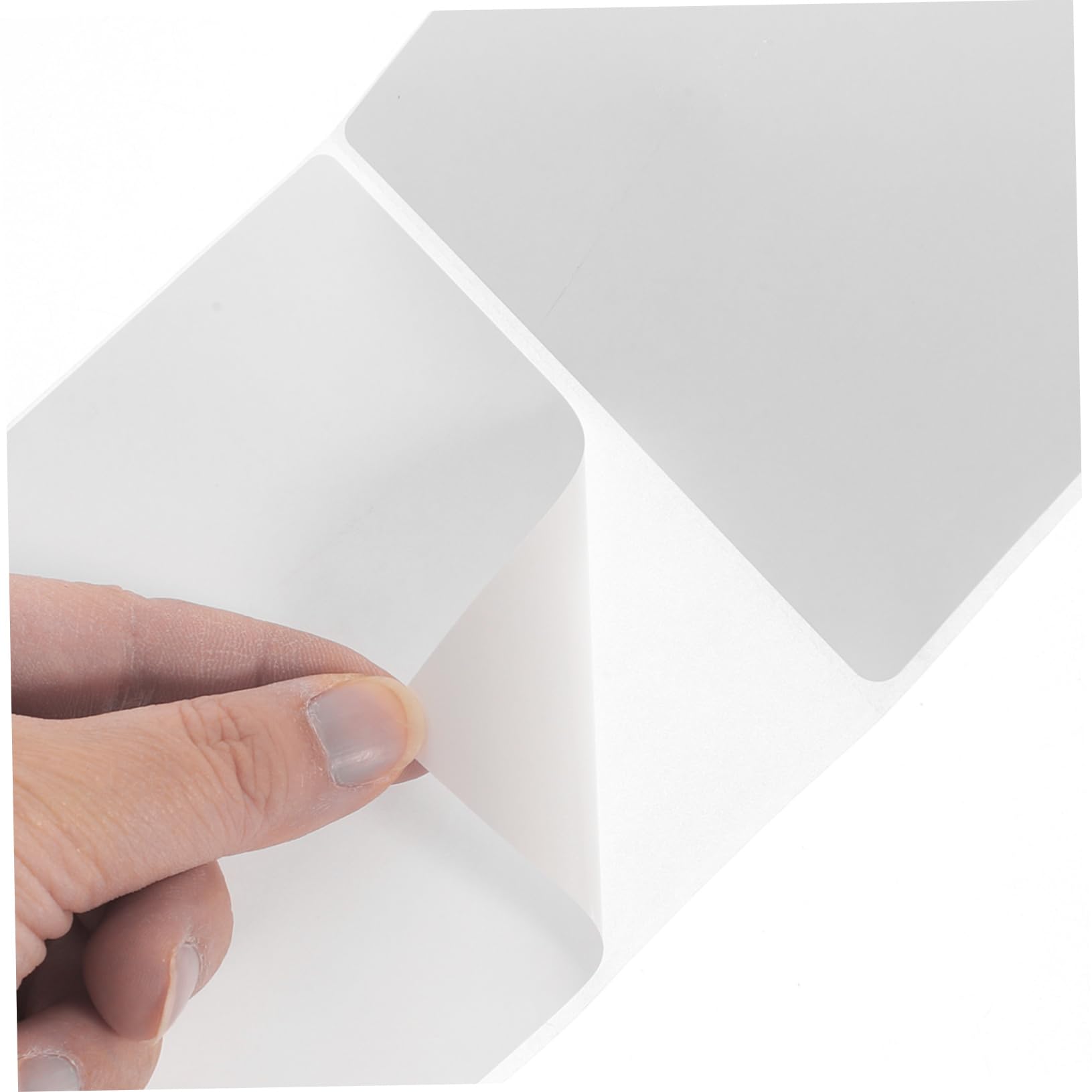Etichette Termiche Adesive 500 Pezzi, Carta Bianca, Stampabili