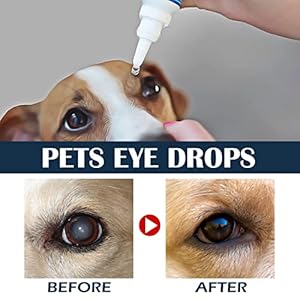 HcirjhieEye Drops for Dogs, Dog Eye Infection Treatment, Superior Comfort Long,Lasting Relief Fewer Application Needed, Used to Clean Tear Stains, Remove Eye Stains, and Relieve Dryness, 10ml