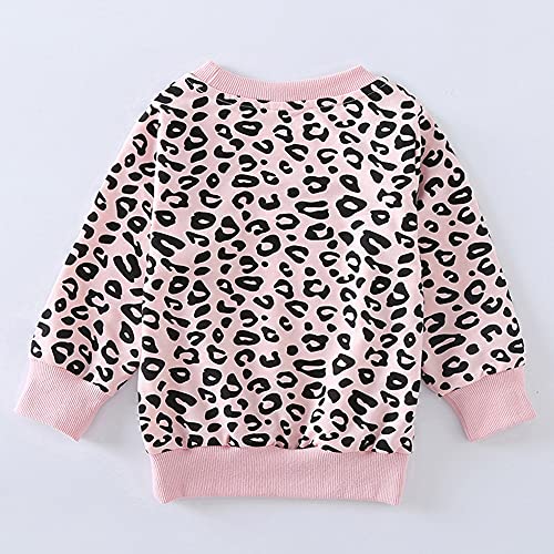 Toddler Baby Girls Leopard Print Clothes Set Long Sleeve T-Shirt Tops and Pants 2pcs Outfits3