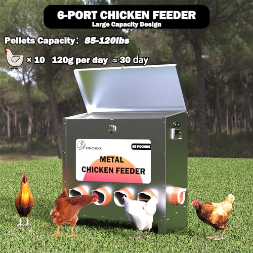 Weatherproof Large Capacity 85lbs Automatic Metal Chicken Feeder (6-Port)