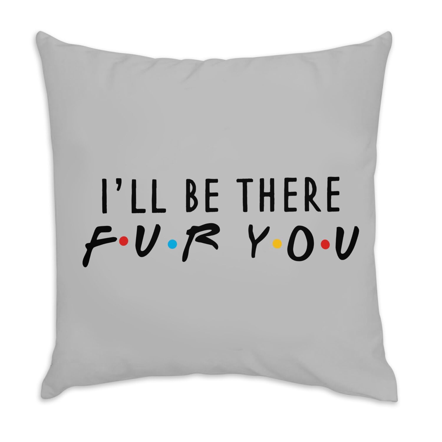 Coussin en velours gris idée cadeau drôle pour les amis fans de blagues de chat et chien