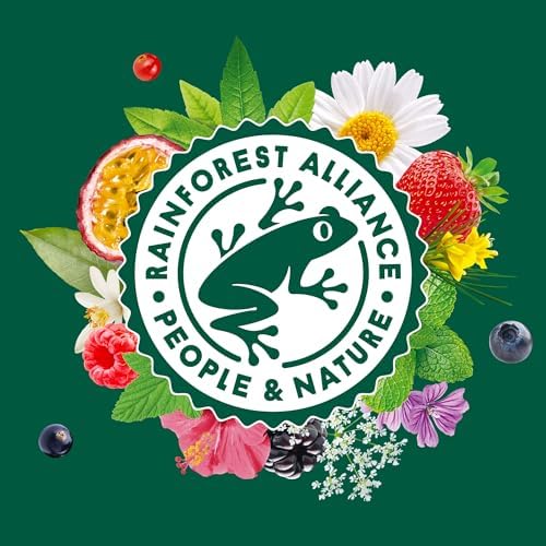 Infusion Mangue Passion Curcuma Elephant La Boite De 20 Sachets - vue 4