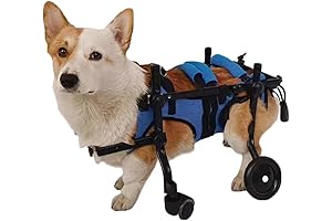 Adjustable Small Dog 4-Wheel Wheelchair for Front Back Legs,Cat Dog Wheelchairs,Mobility Aids for Disabled Pets