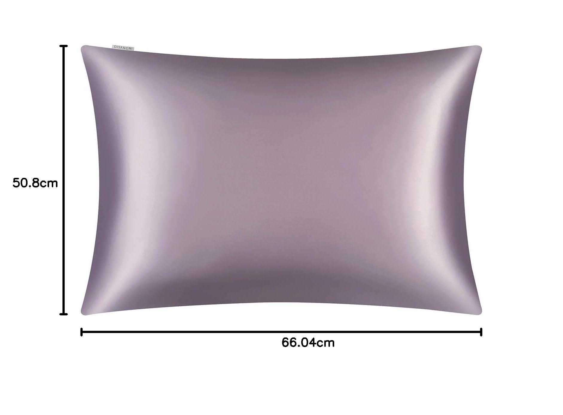 DISANGNI Funda de almohada de seda de morera 100% natural para cabello y piel, con cremallera oculta, 22 Momme en ambos lados, funda de almohada de seda real (2 piezas de tamaño estándar de 20 x 26