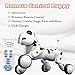 Dimple DC13991 Interactive Robot Puppy with Wireless Remote Control Kids Robotic Toy Electronic Pet RC Animal Dog Toy #1 for Kids That Sings, Dances, Eye Mode, Speaks for Boys/Girls