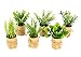 Produktbild Künstliches mini Kräuter Sortiment in Töpfchen aus Papier Pflanzen Kunstpflanzen Künstlicher Eukalyptus Rosmarin Babyspinat Thymian Basilikum Lauch Schittlauch Gartenkräuter Deko für Küche 6er Set