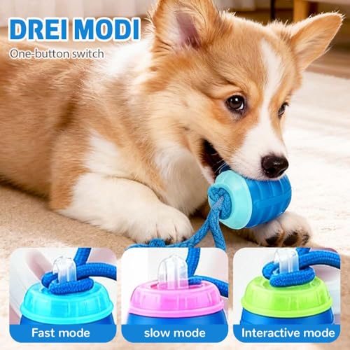 Interactive Dog Toys, 2026 Upgraded Motion Activated Squeaky Cat Balls, 360° Smart Automatic Rolling Moving for Bored Pet Cats Dogs, Interactive Dog Balls (Blue)
