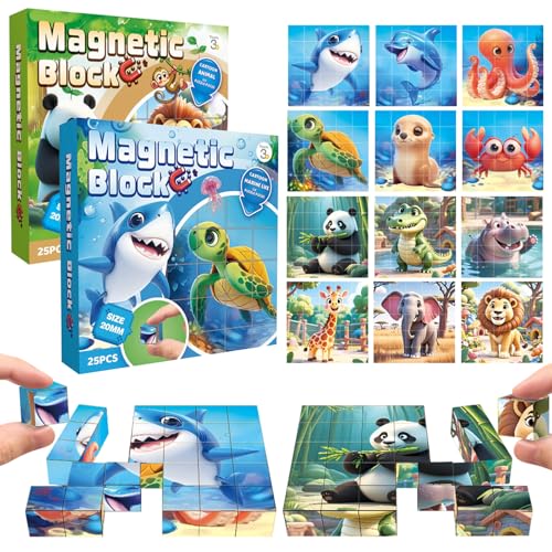 TECHEEL Puzzle cube en bois magnétique 3D 6 en 1 - Jouet en bois pour enfants à partir de 3, 4, 5 ans - Cadeau pour garçons et filles