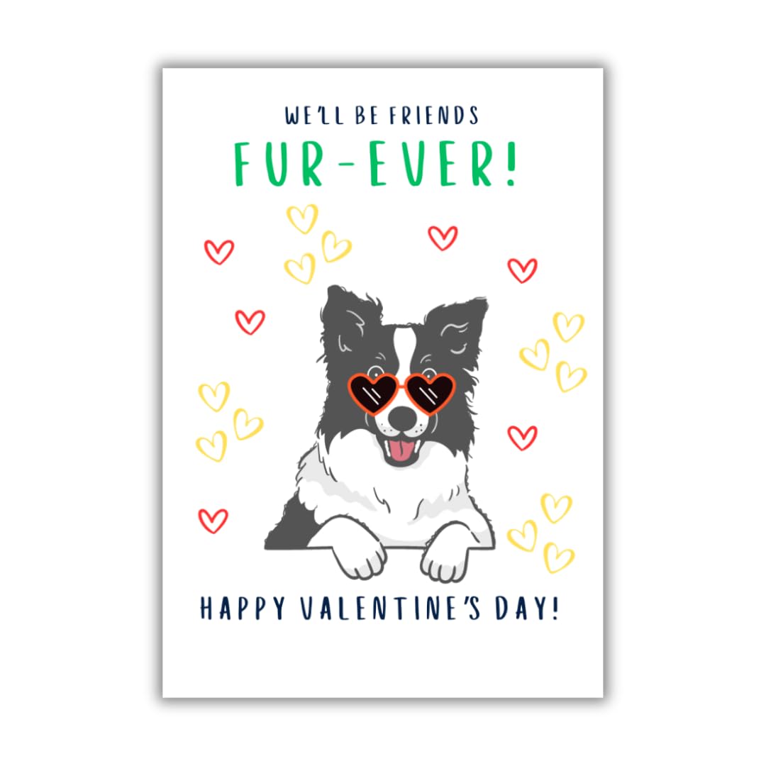 Rack Jack Valentines Day Anniversary Funny Greeting Card (Collie)