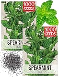 Seed Needs Spearmint Seeds to Plant an Herb Garden - 2 Packs