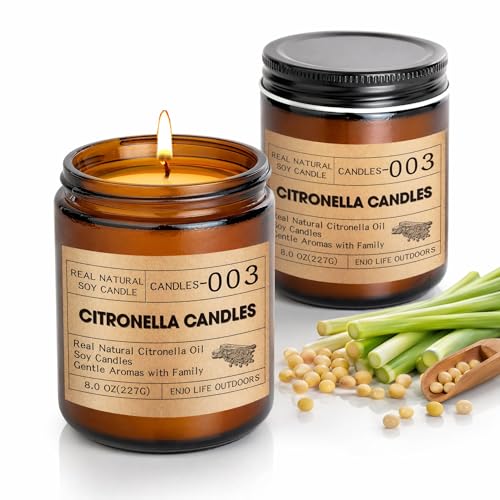 Citronella Kerzen Outdoor Groß 250 Std Camping Kenzen draußen groß XXL Zitronella Kerzen im Glas mit natürliche Sojawachs Citronellaöl Zitronella Lemongrass für Garten Grill im Freien 2Pcs