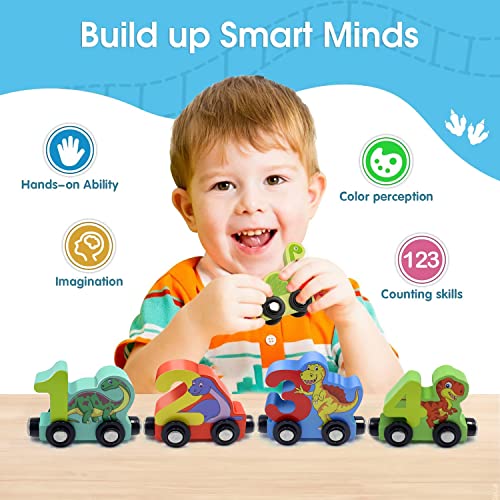 ZRCCOX Toddler Toys for 2-4 Year Old Boys, Wooden Dinosaur Train Toys for Kids, Sensory Toys for Toddlers 1-3, Magnetic Trains for Toddlers, Birthday for Boys Age 1, 2, 3, 4, 5 Niño - Image 6