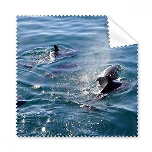 Ocean Killer NW R G N[jO NX dbp XN[ KlN[i[ 5