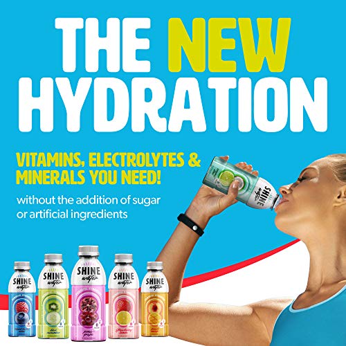 ShineWater Hydration Water, Flavored Drink, Antioxidant Beverage, Zero Sugar, Variety Pack of 12 Bottles