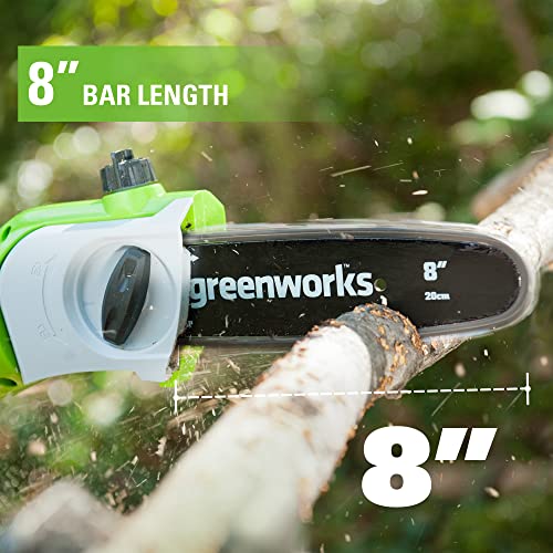 Greenworks 8-Inch Replacement Pole Saw Bar 29062 #TOP1