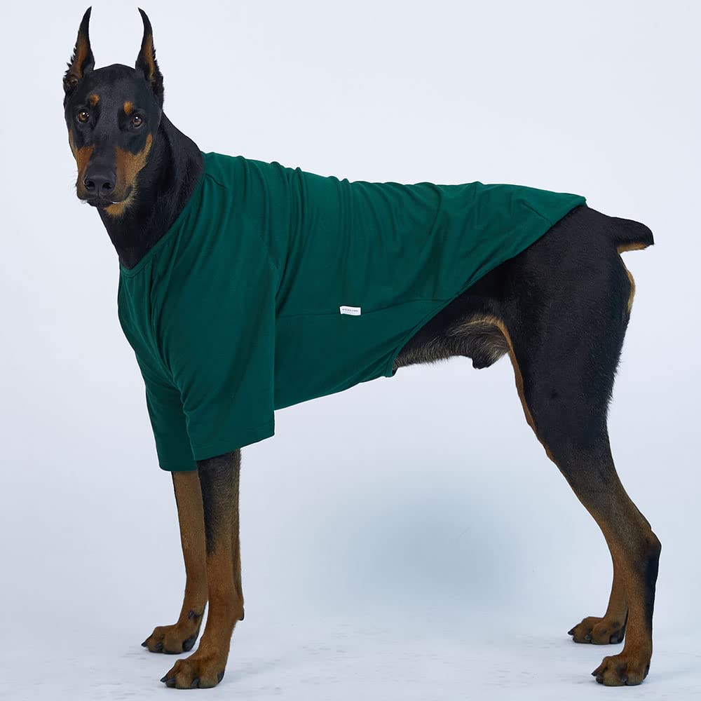 Camisa para perros pequeños, camisetas lisas, suave, transpirable, de algodón para perros, ropa para mascotas (2XL, verde)