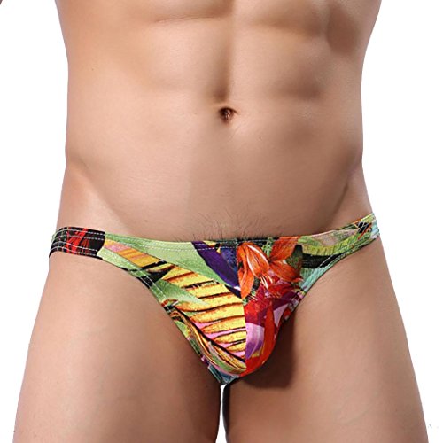 Ropa Interior Hombre Calzoncillos Sexy de Hombre Slips Pantalones Cortos Tangas Lenceria Hombre Boxers para Hombre (L, Multicolor)
