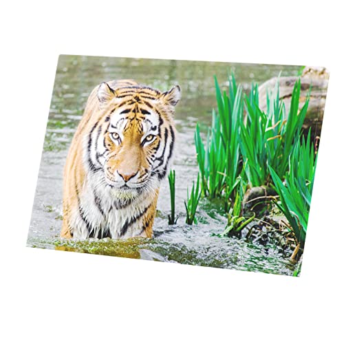Toile Imprimée Tigre Fauve pour habiller un mur vide de salon
