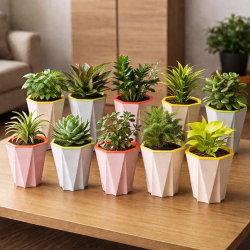 Image of Go Hooked Self Watering Plant Pot (4inch, Pack of 10) | Assorted Plastic Flower Pot with Inner Drainage Insert | Geometric Designer Planter for Indoor Plants, Succulents, Home Decor & Office Table Use